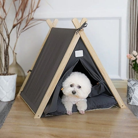 bichon allongé dans tente pour chien grise tipiou