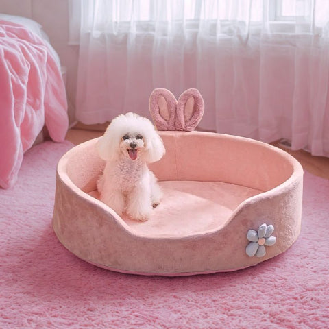 bichon assis dans couchage chien doux rosi
