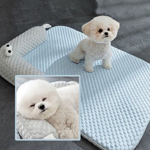 bichon assis sur coussin pour chien absorbant rafraichissant