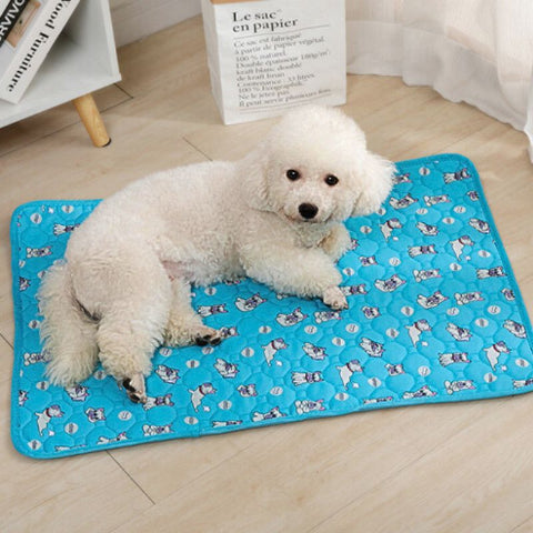 bichon frisé couché sur tapis chien bouledogue anti-fuite