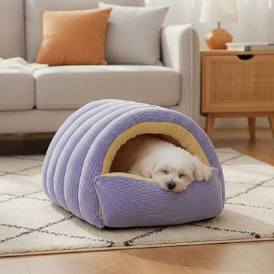bichon maltais couché dans grotte pour chien violet mochi
