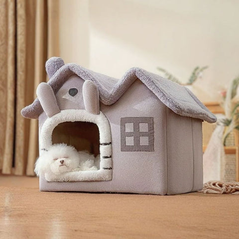 bichon maltais endormi dans maison pour chien pliable plumette