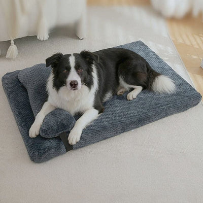 border collie allongé sur coussin pour chien déhoussable moelleux confo