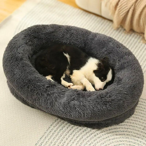 border collie assis sur panier chien xxl gris fonce cajo