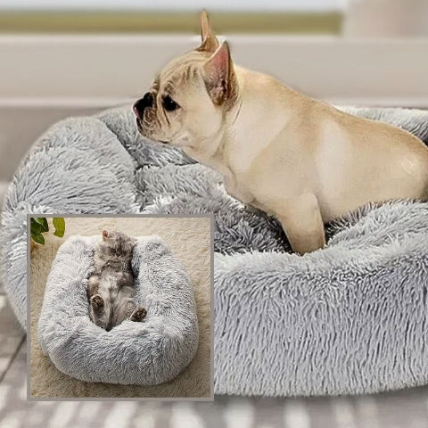 bouledogue assi sur coussin pour chien hydrofuge peluche douce