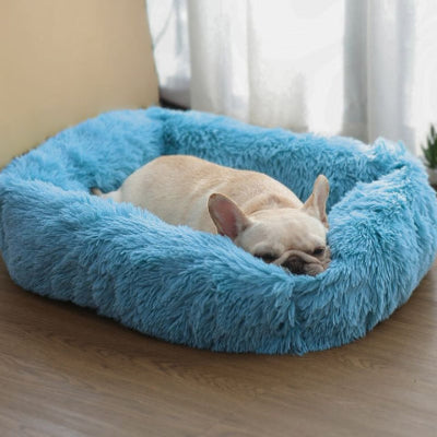 bouledogue couché dans panier xxl pour chien bleu anti-stress