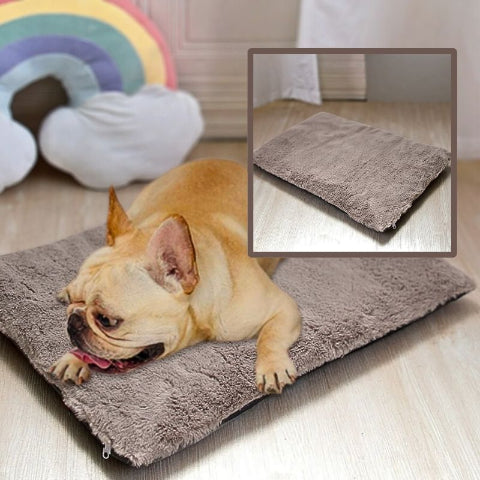 bouledogue français allongé sur coussin pour chien marron polaire