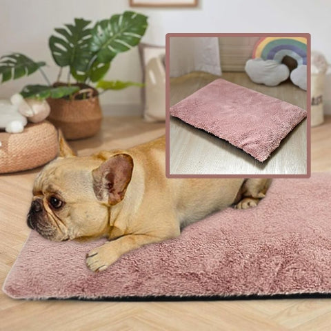 bouledogue français allongé sur coussin pour chien rose polaire
