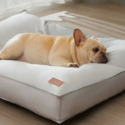 bouledogue français couché sur coussin pour chien déhoussable respirant respiro