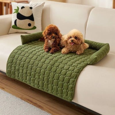 deux caniches couchés sur un canapé pour chien vert foncé au tissu antiadhésif
