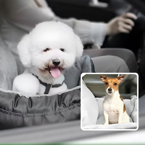 caniche assis dans panier chien moelleux voiture