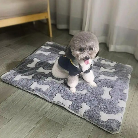 caniche assis sur tapis chien doux réversible