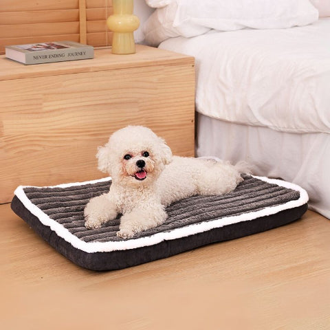 caniche blanc couché sur coussin chien dehoussable gris foncé divague