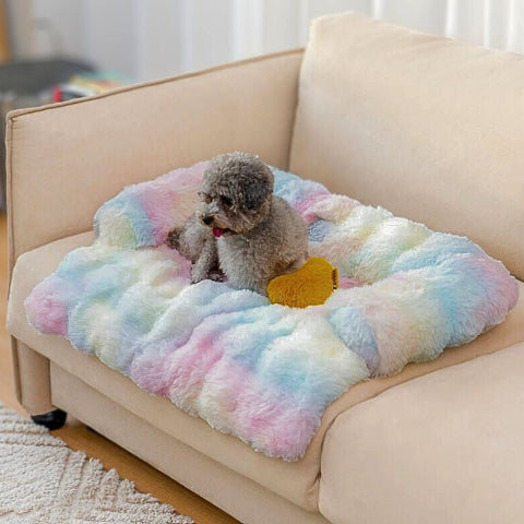 caniche couché sur canape lit chien pastel fluffy