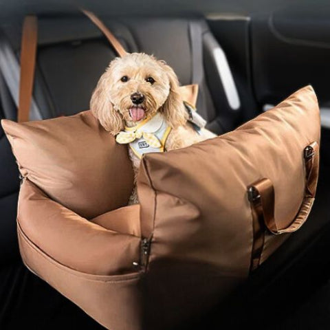 caniche toy assis dans panier Ă chien marron auto