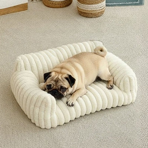 carlin couché sur canapé chien blanc- moumoute
