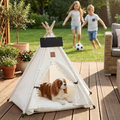 cavalier king charles allongé dans tipi pour chien blanc pupsy
