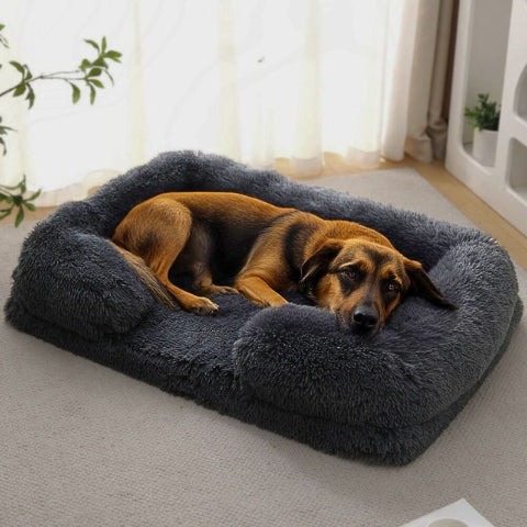 chien couché dans panier xxl pour chien gris foncé orthopédique