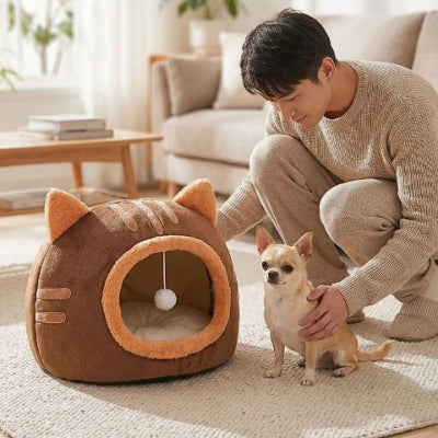 chihuahua à côté de grotte pour chien marron teta
