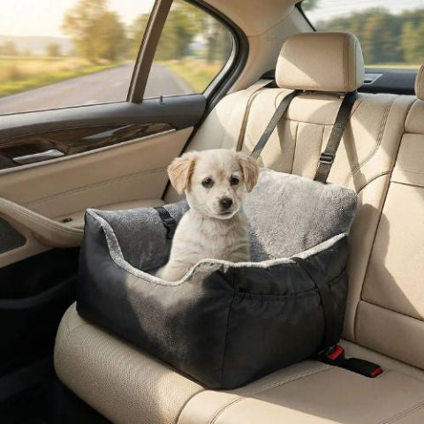 chiot golden assis dans panier chien noir voiture