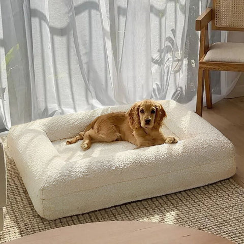 cocker anglais allongé dans panier grand chien orthopédique dival