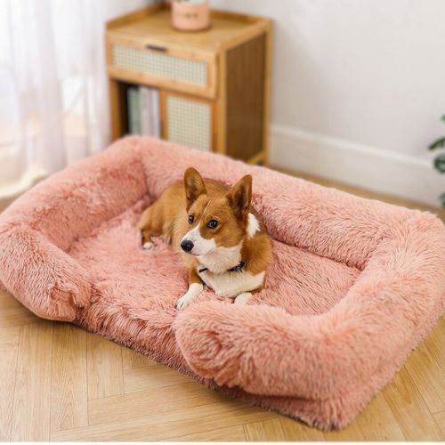 corgi allongé dans panier chien antidérapant rectangle