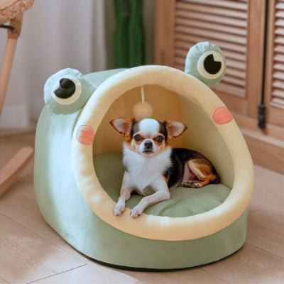 Chihuahua couché dans un couchage pour chien Coquino vert antistress douillet