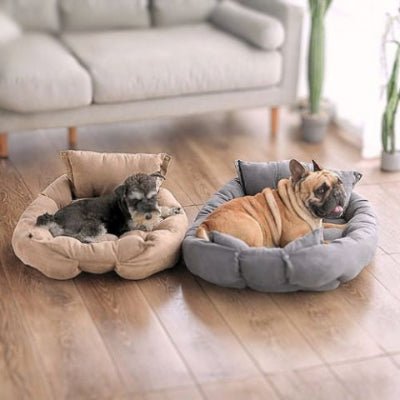 Schnauzer et bouledogue français sur coussin chien Triforma refermé en panier