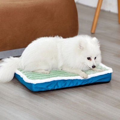 Spitz japonais sur un coussin chien déhoussable Divague vert avec mousse dense