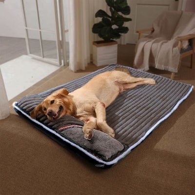 golden retriever couché sur coussin déhoussable pour chien velourex gris foncé