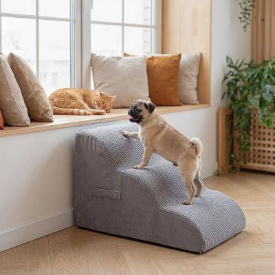 Carlin montant un escalier chien Pachou gris déhoussable et lavable en machine