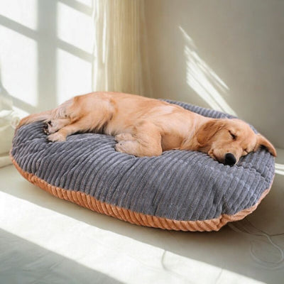 golden allongé sur coussin déhoussable chien anti-stress reversol