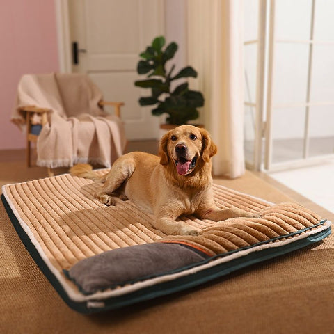 golden allongé sur coussin déhoussable pour chien imperméable xxl