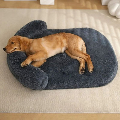 golden couchĂ© sur coussin chien xxl repose tĂȘte arcon