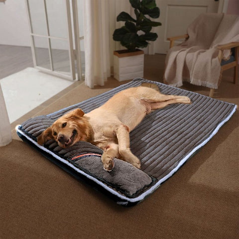 golden couché sur coussin déhoussable pour chien gris foncé xxl
