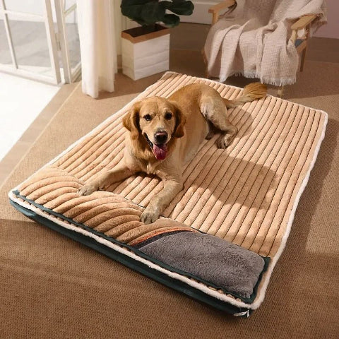 golden couché sur coussin déhoussable pour chien rose xxl