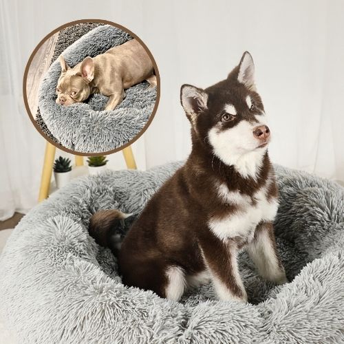 husky assis dans panier chien douillet rond