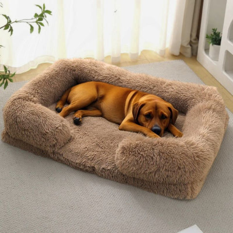 labrador allongé dans panier xxl pour chien marron orthopédique