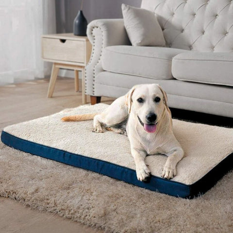 labrador allongé sur coussin dehoussable chien tissu oxford biscot