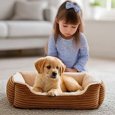 chiot labrador couché dans un lit pour chien marron peluche polaire et velours