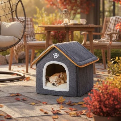 chihuahua endormi dans une niche d'intérieur pour chien pliable grise foncée