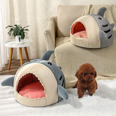 Caniche toy près de la niche d'intérieur pour chien Requinou bleue antistress