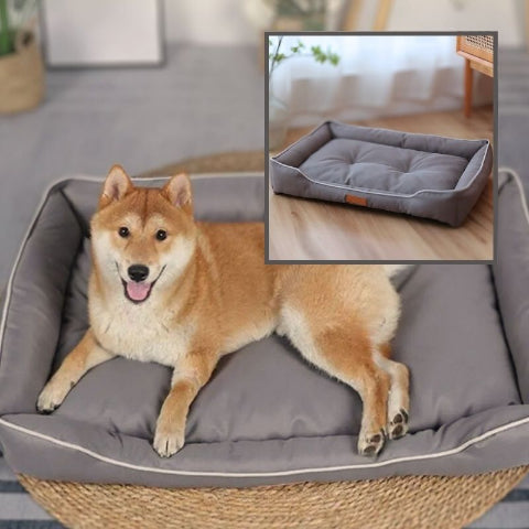 shiba inu allongé sur coussin chien gris imperméable