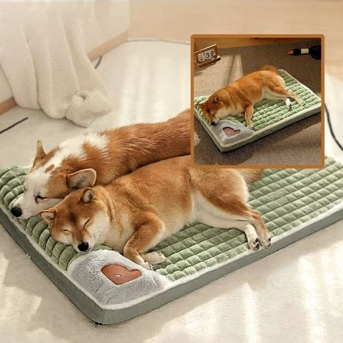 shiba inu couché sur coussin chien durable protÚge cervicale