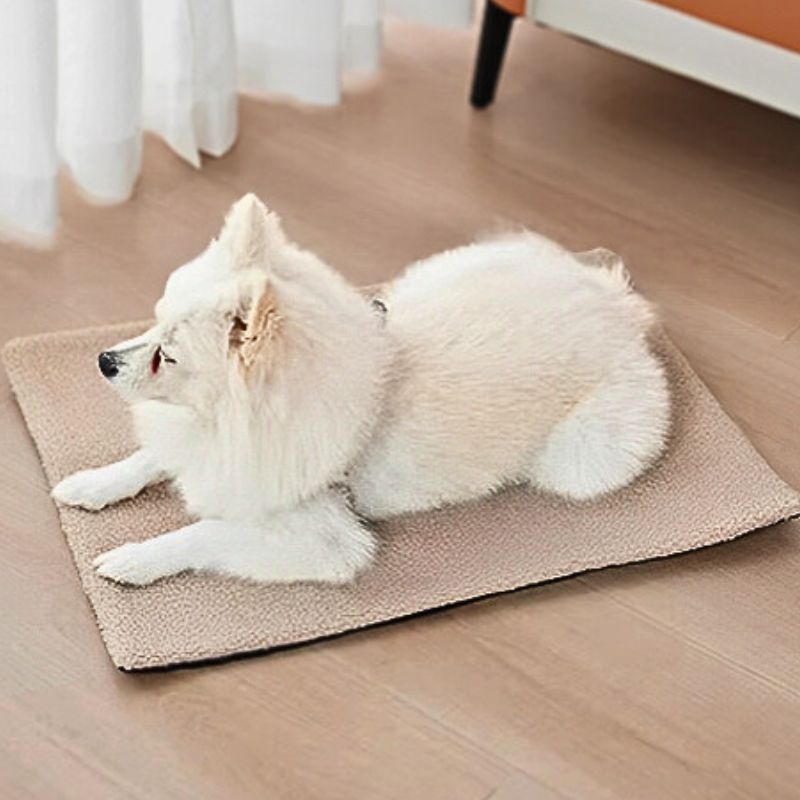 spitz allongé sur tapis pour chien beige thermique