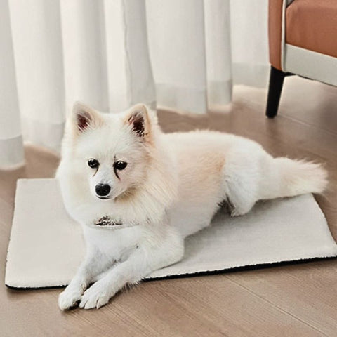 spitz allongé sur tapis pour chien blanc thermique