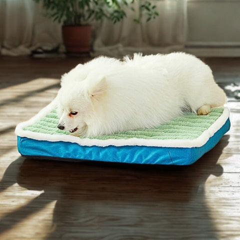 spitz japonais couché sur coussin chien dehoussable vert divague