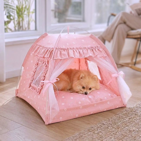 spitz nain couché dans tente chien rose pastelle