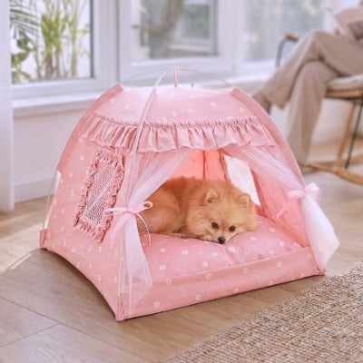 spitz nain couché dans tente chien rose pastelle
