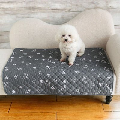 bichon frisé assis sur un tapis pour chien quatrelle gris et bouledogue lavable